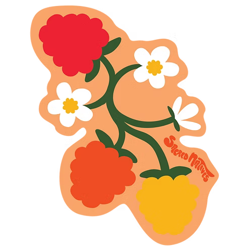 Bada Jean Stickers