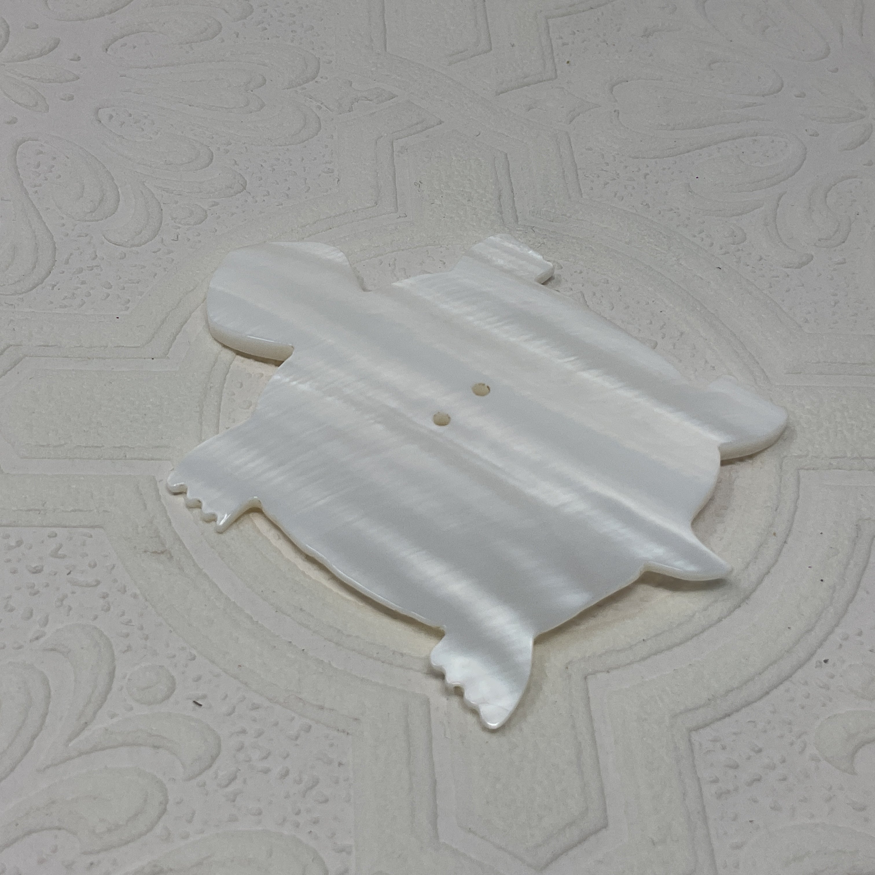 3 Inch Turtle Shell