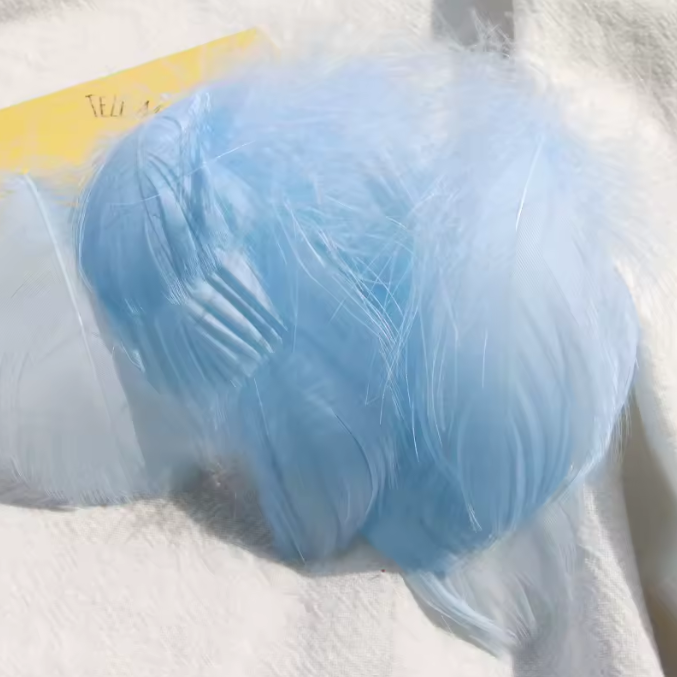 Dyed Feathers