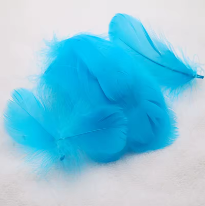 Dyed Feathers