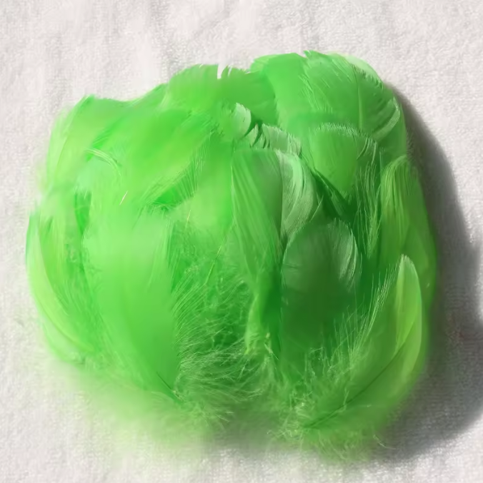 Dyed Feathers