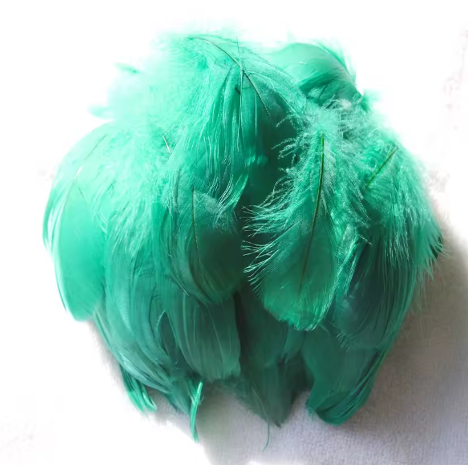 Dyed Feathers