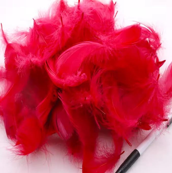 Dyed Feathers