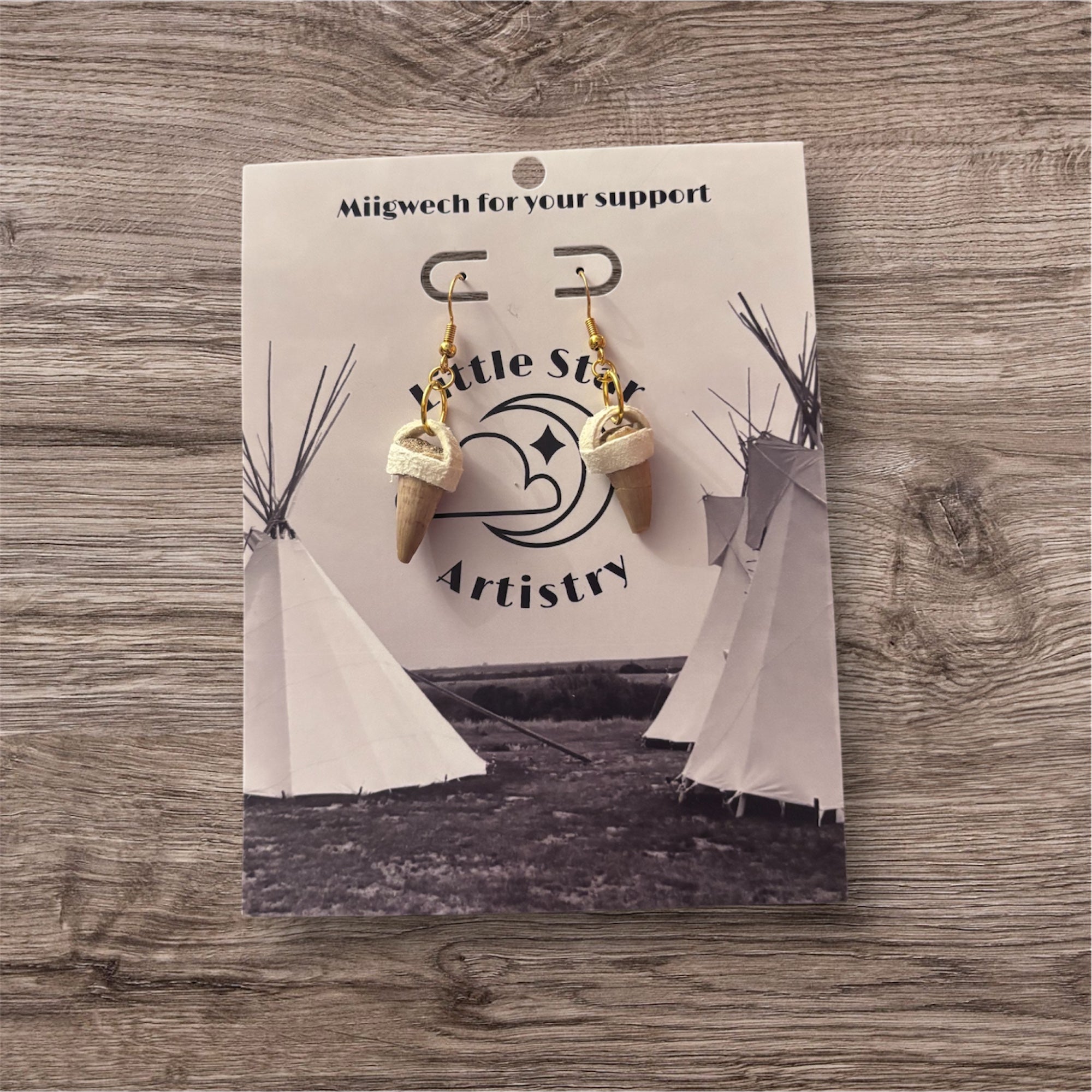 Dorienne Proulx Mosasaurus Tooth Fossil Earrings