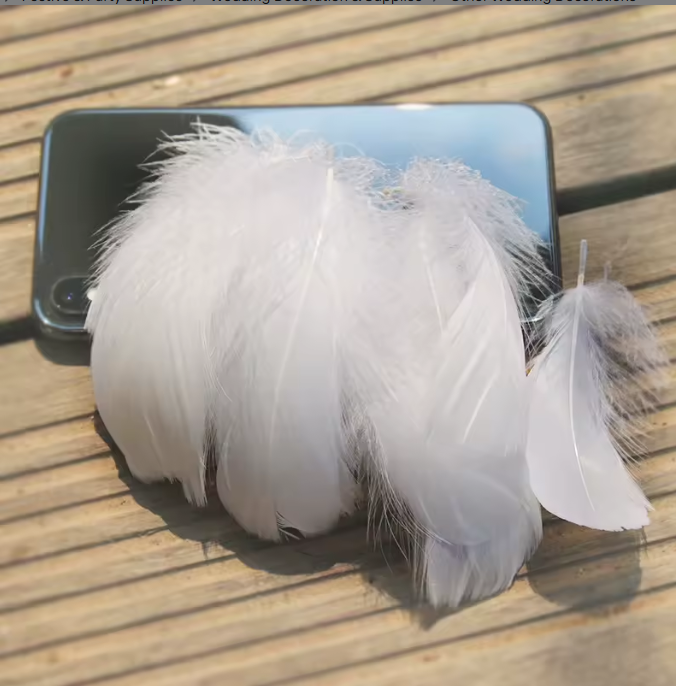 Dyed Feathers