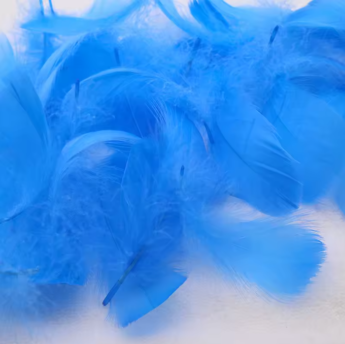 Dyed Feathers