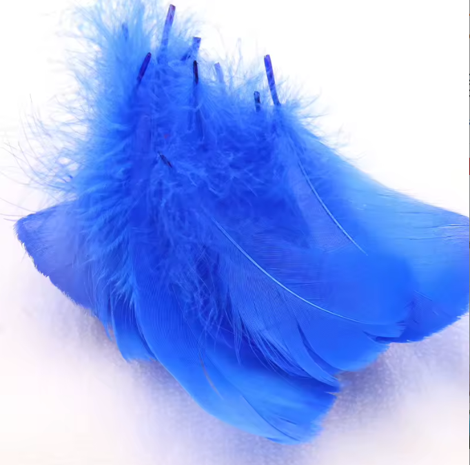 Dyed Feathers