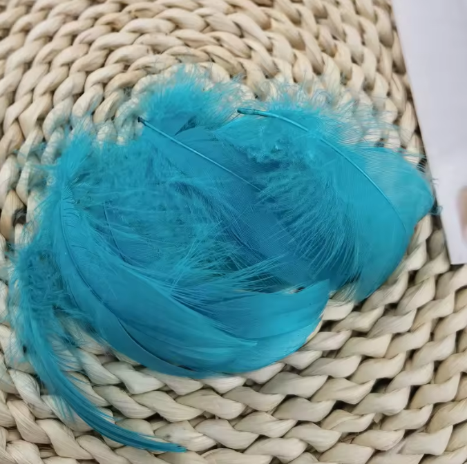 Dyed Feathers