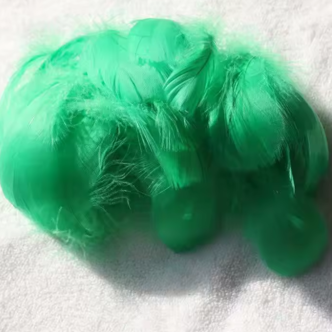 Dyed Feathers