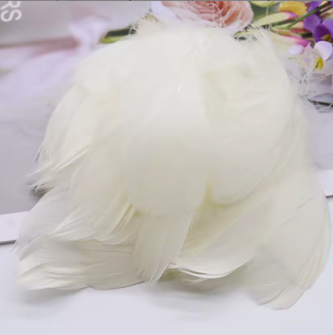 Dyed Feathers