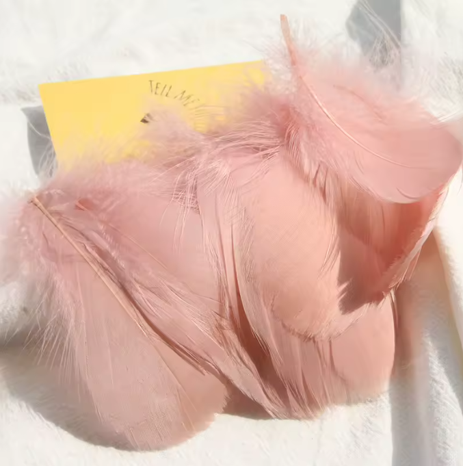 Dyed Feathers