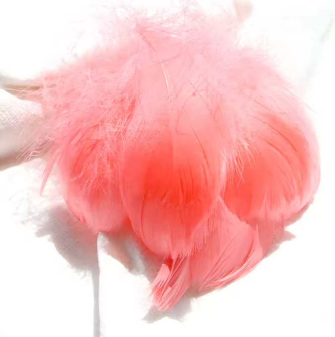 Dyed Feathers