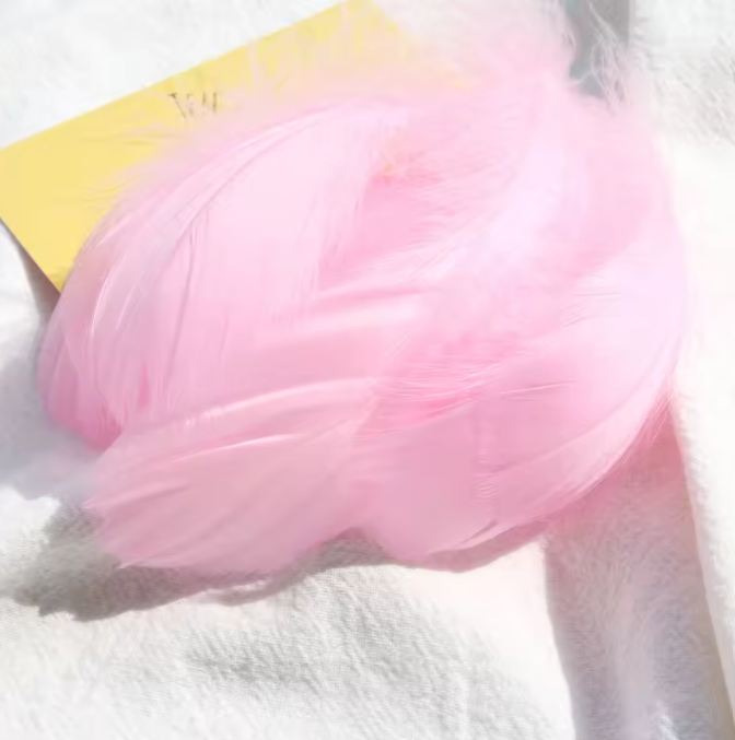 Dyed Feathers