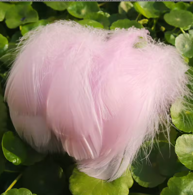 Dyed Feathers
