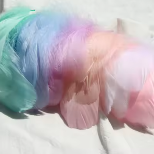 Dyed Feathers