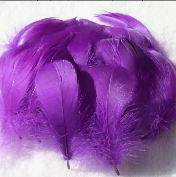 Dyed Feathers