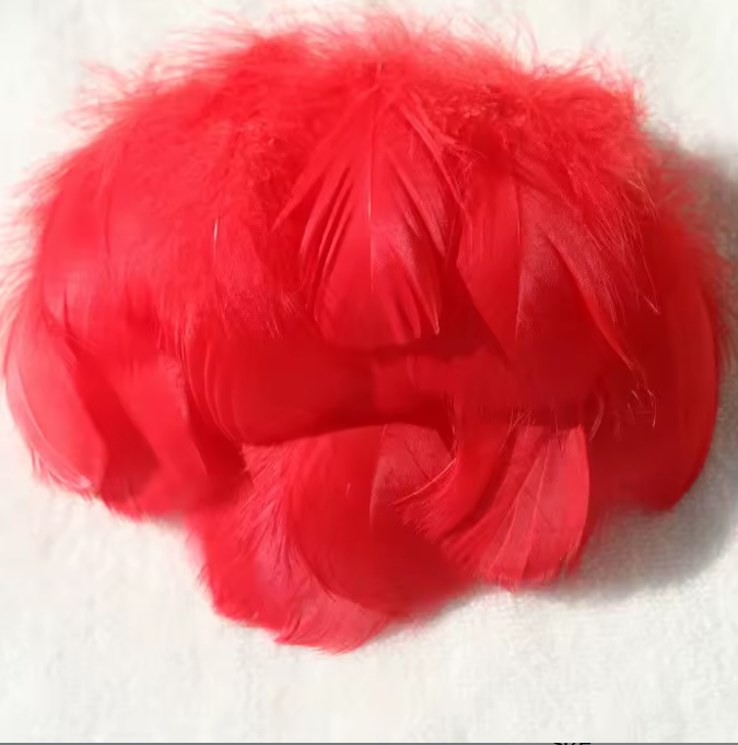 Dyed Feathers