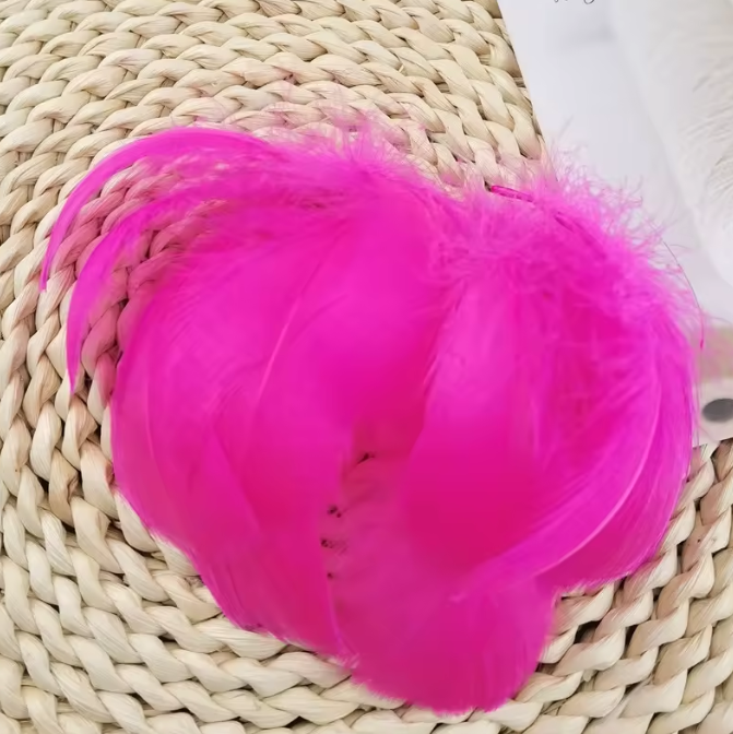 Dyed Feathers