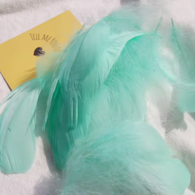 Dyed Feathers
