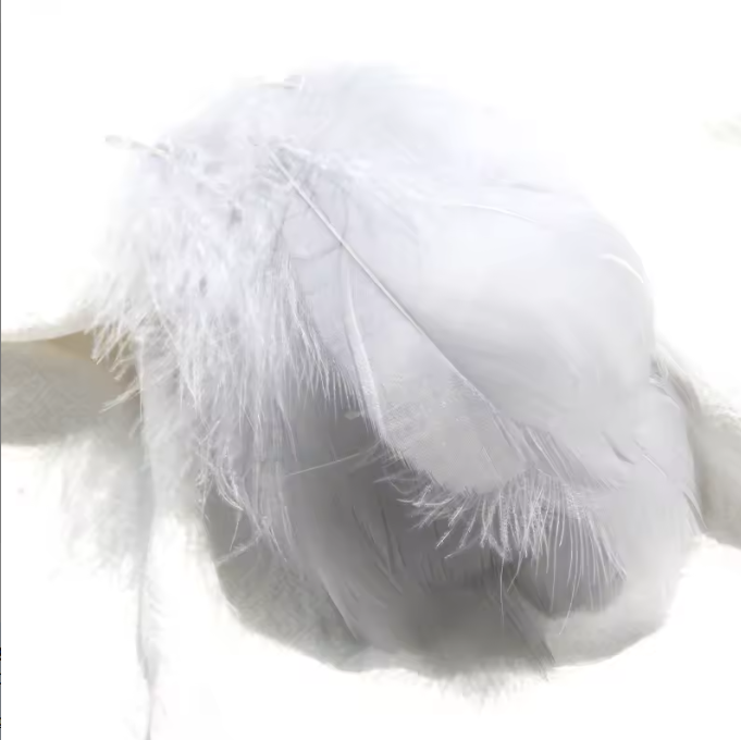 Dyed Feathers