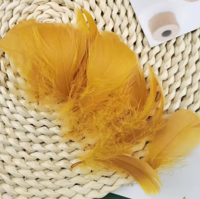 Dyed Feathers